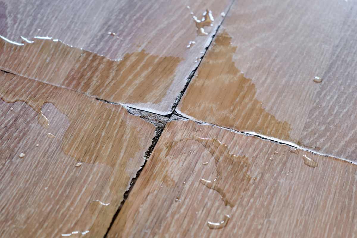 the water damage of flooring