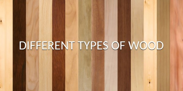 Oak vs. American Walnut vs. Teak vs. Birch vs. Beech vs. Acacia